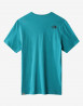 náhled Pánské tričko s krátkým rukávem The North Face M COORDINATES TEE S/S 1