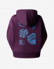 náhled Dámská mikina The North Face W OUTDOOR GRAPHIC HOODIE